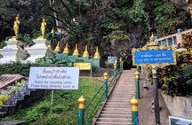 Tiger Cave and Emerald Pool Jungle Tour