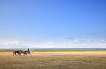 14 Day Epic Kyrgyzstan Trek in Tian Shan and Pamir Alay Mountains