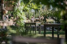 Pelion Private Experience: Farm-to-Table Cooking