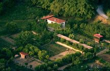 Pelion Private Experience: Farm-to-Table Cooking