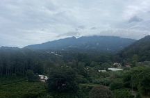  Boquete E-bike Panoramic Tour