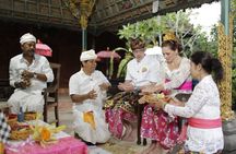 Balinese Couple or Family Celebration with Multilingual Guide