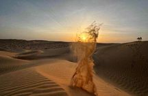 Desert Overnight Tour VisitSalalah 