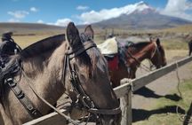 Cotopaxi tour from Quito -horseback ride and hike-NO TOURISTY way