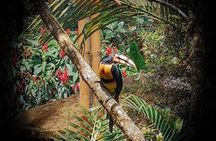 tour to Mindo (Cloud forest) from Quito - Adventure & Nature.