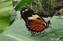 tour to Mindo (Cloud forest) from Quito - Adventure & Nature.