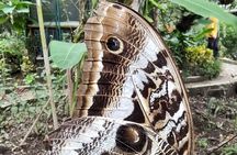 tour to Mindo (Cloud forest) from Quito - Adventure & Nature.