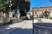 Zadar City Tour