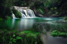 Te Mata Explorer Private Tour from Napier Cruise Port