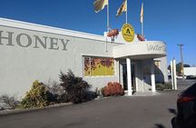 Te Mata Explorer Private Tour from Napier Cruise Port