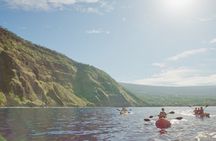 Morning Magic Kayak and Snorkel Adventure in Kealakekua Bay