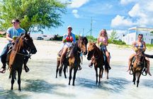 Small Group Horseback Riding Adventure in Caicos Islands 