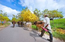Puerto Plata Historic Town & Countryside - Amber Cove & Taino Bay
