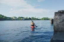 Midday Meander - Kealakekua Bay Kayak and Snorkel Adventure