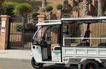 Private tour TukTuk of Torremolinos 