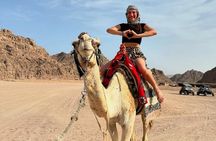 Quad Safari Tour with optional Camel Ride in Sharm El Sheikh