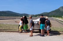 Dubrovnik Wine Tour: Pelješac Winery and Ston Experience