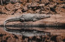 Gambia Banjul City Tour with Crocodile Pool, Arch 22 and More