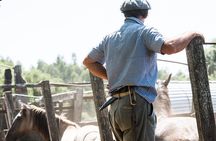 Three Days Tour In A Traditional Ranch Estancia La Pilona 