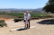 Exclusive Wine Tours through Chile Finest Valleys
