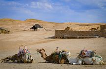 Quad, camel and dinner with show in the desert of Agafay