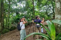 Bijagua Upala Rainforest, Trails, Sloths, Birds and others
