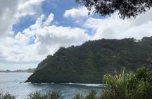 Private Road to Hana Maui Open-Air Jeep Tour