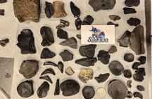 Charleston/Folly Beach Shark Tooth and fossil Island Drop off