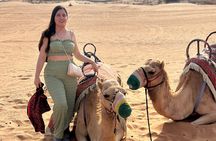 Dubai Private Morning Safari with Camel Ride