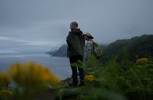 3hours Primeval Forest and Stunning Views of Cliff Trekking Tour