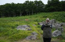 3hours Primeval Forest and Stunning Views of Cliff Trekking Tour