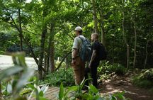 3hours Nature Guided Tour in Shiretoko Five Lakes 