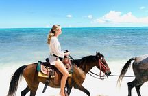 60-Minute Private Horseback Riding Experience in Turks and Caicos