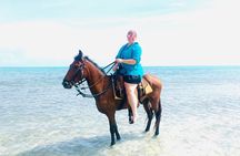 60-Minute Private Horseback Riding Experience in Turks and Caicos
