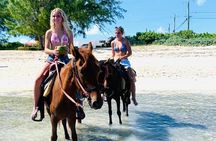 Shared Horseback Riding in Turks and Caicos