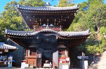 1-Day Miyajima Sightseeing Tour