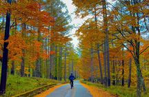 Nikko Cycling Tour with Local Guide