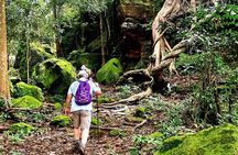 1 Day Phnom Kulen and Elephant Pond Trekking
