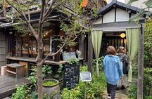 Private Tour : Experience Old Tokyo: Cultural Walk in Yanaka Nezu
