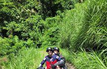 ATV Tour: Eco Friendly Scenic Bellwood Layou Rainforest 