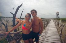 Shore Excursion: Buggy Tour, Punta Sur Park & Beach Relaxation