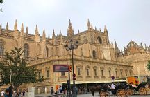Guided tour to Seville from the Costa del Sol