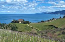 Half day Txakoli Wine and Getaria Tour