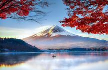 Mount Fuji & Lake Kawaguchiko Exclusive Tour: Beyond the Ordinary