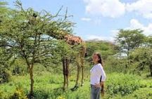 Day Tour To Lake Naivasha, Crescent Island And Hell Gate Park