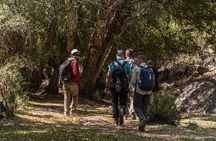 Iskandarkul Escape 2 Day Fann Mountains Adventure and Local Stay