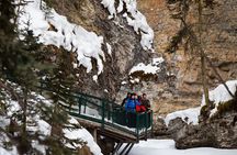 Shared Tour in Lake Louise Emerald lake & Johnston Canyon & More!