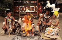 Lion Safari & Lesedi Cultural Village Tour from Johannesburg