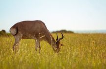 3 Days Exploring the Iconic Serengeti and Ngorongoro Crater