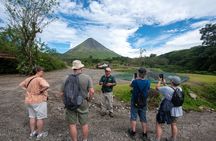 Forest & Rocks (Hanging Bridges & Volcano Hike)